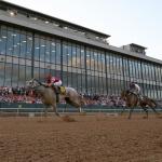 Oaklawn Park Confidential: Track Trends, Top Trainers and Jockeys to Help Win at Upcoming Meet